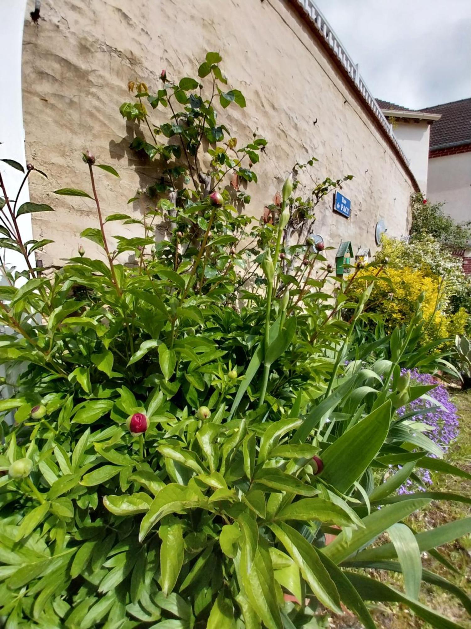 La Petite Maison Gasny المظهر الخارجي الصورة